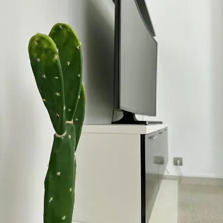 Appartement Casa Feliz